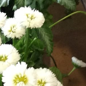 Meet your Posher, Marin